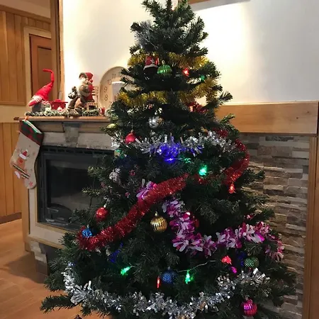 Ray Ot Durvo Veliko Tărnovo