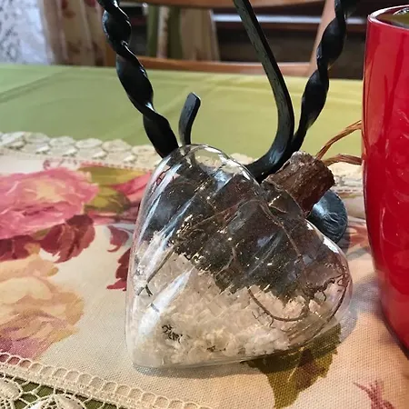 Ray Ot Durvo Weliko Tarnowo